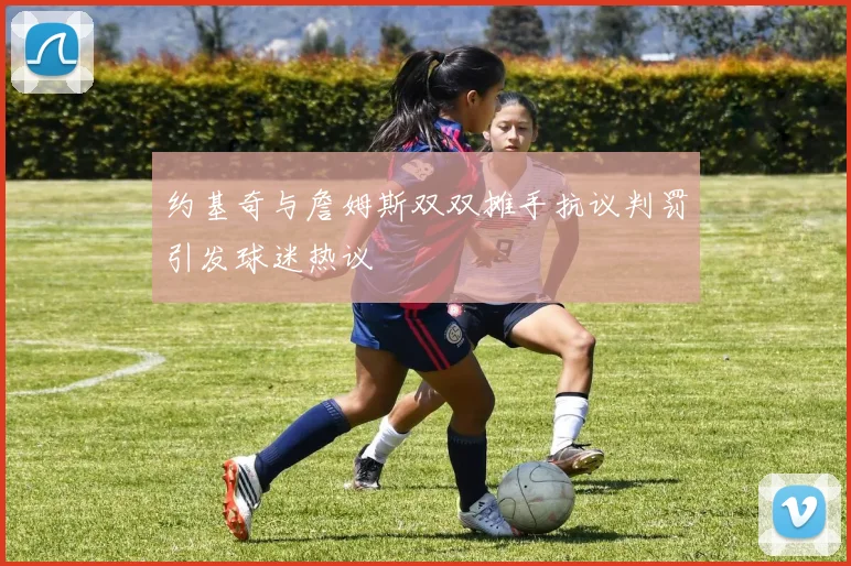 约基奇与詹姆斯双双摊手抗议判罚引发球迷热议